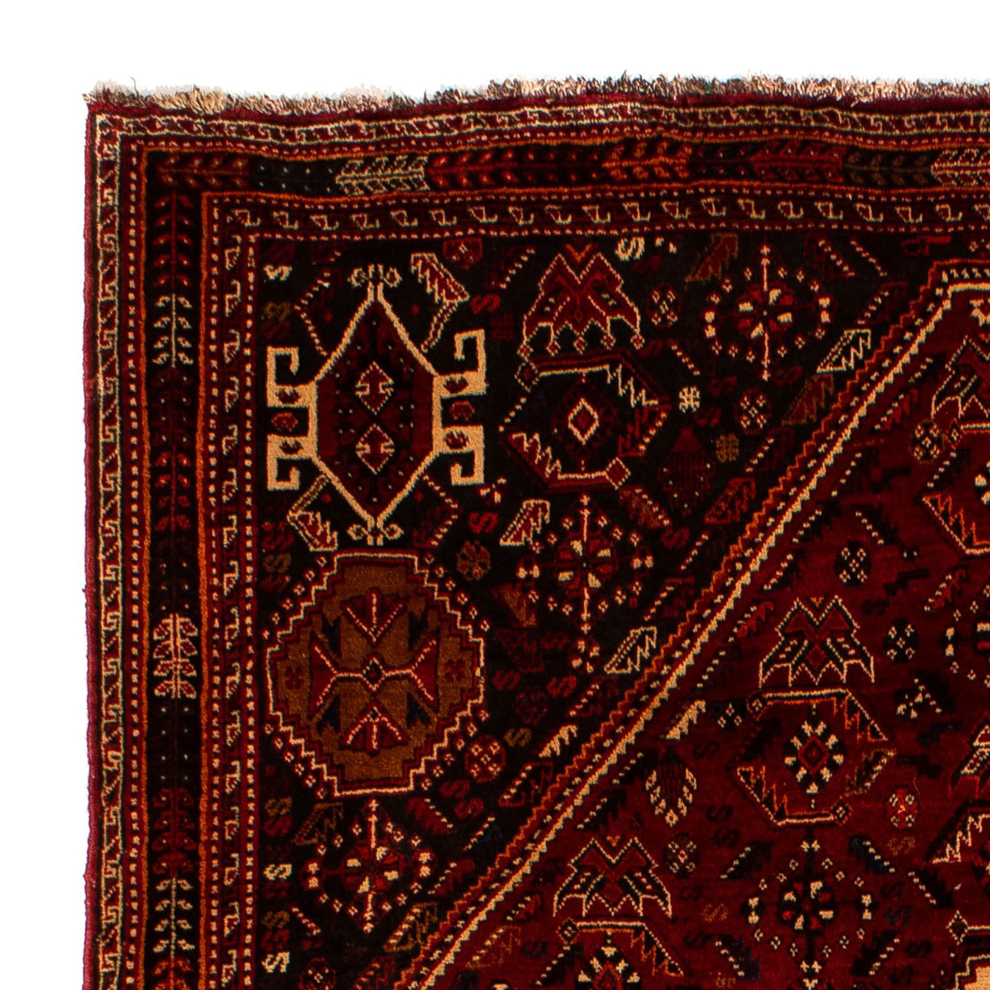 Qashqai Mattan 275x182cm - Persisk matta