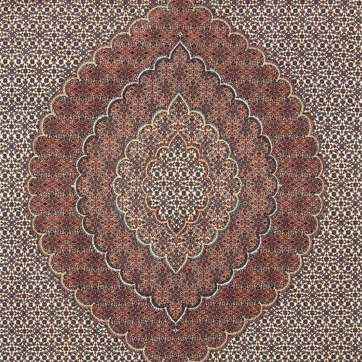 Persisk matta - Tabriz - 300 x 250 cm - flerfärgad