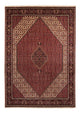 Bidjar Mattan 248x343cm - Persisk matta