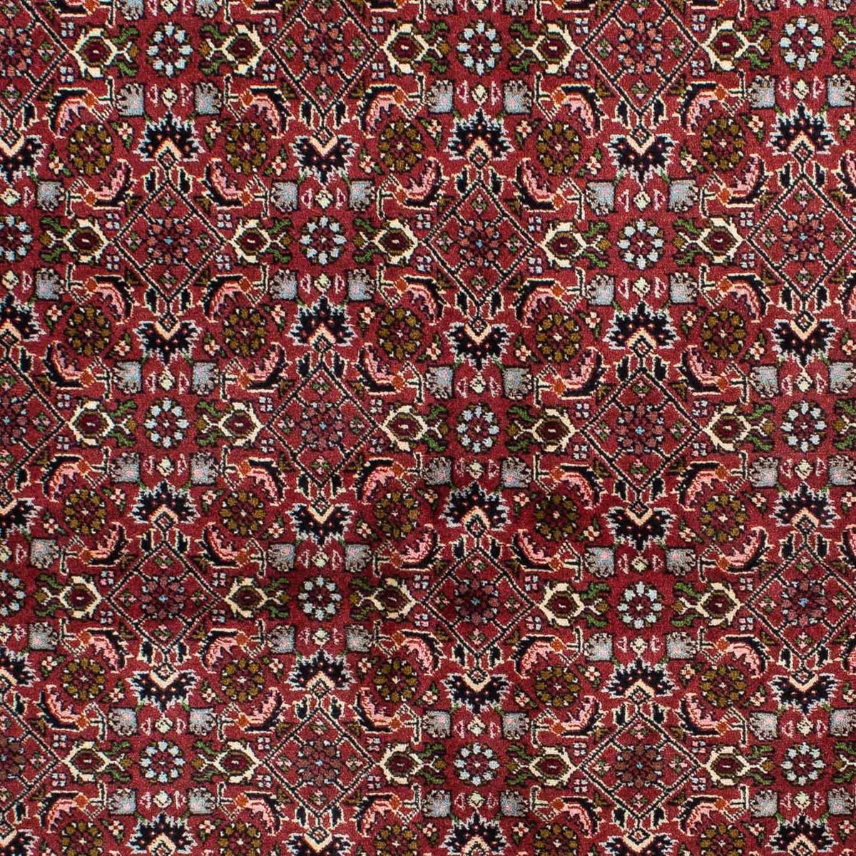 Persisk matta - Bijar - 231 x 138 cm - mörkblå