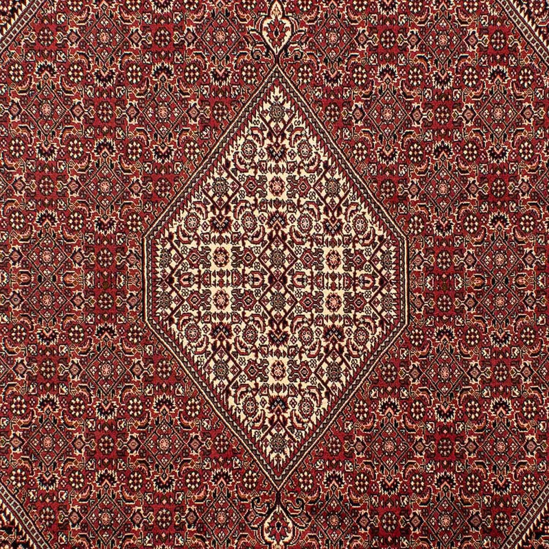 Persisk matta - Bijar - 304 x 200 cm - brun