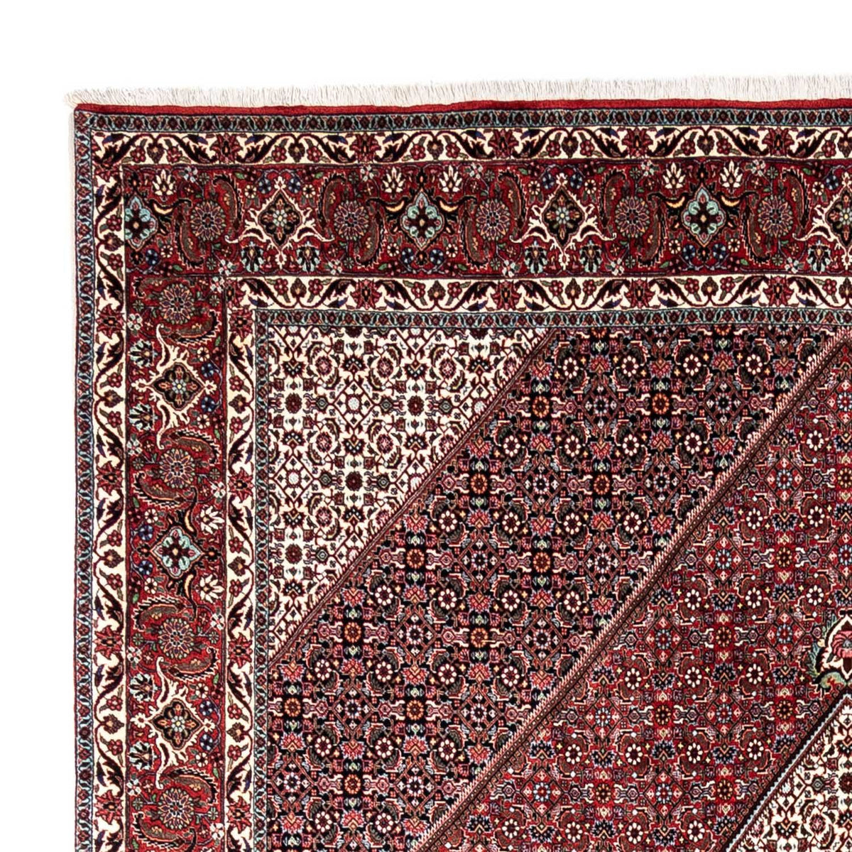 Bidjar - Takab Mattan 249x338cm - Persisk matta