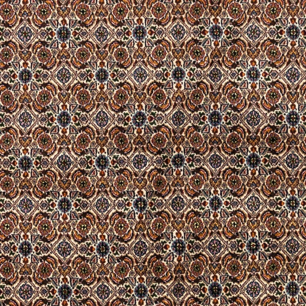Persisk matta - Classic - 242 x 170 cm - beige
