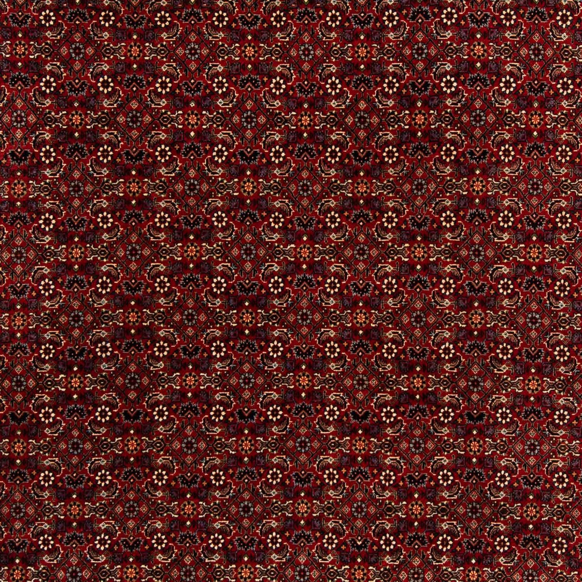 Persisk matta - Bijar kvadrat  - 207 x 200 cm - mörkröd