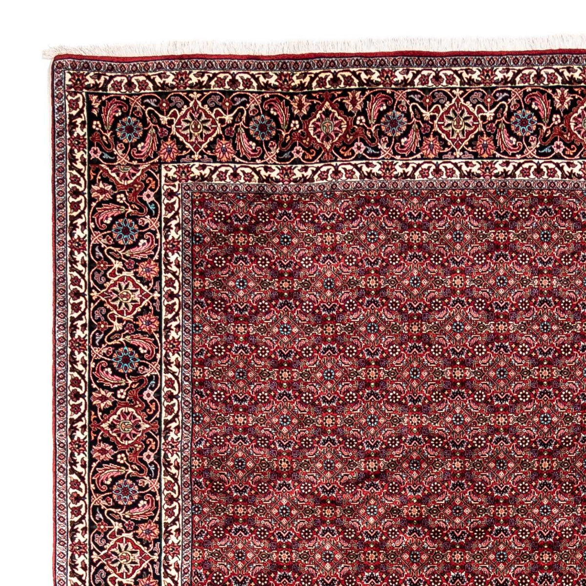 Bidjar - Takab Mattan 252x337cm - Persisk matta