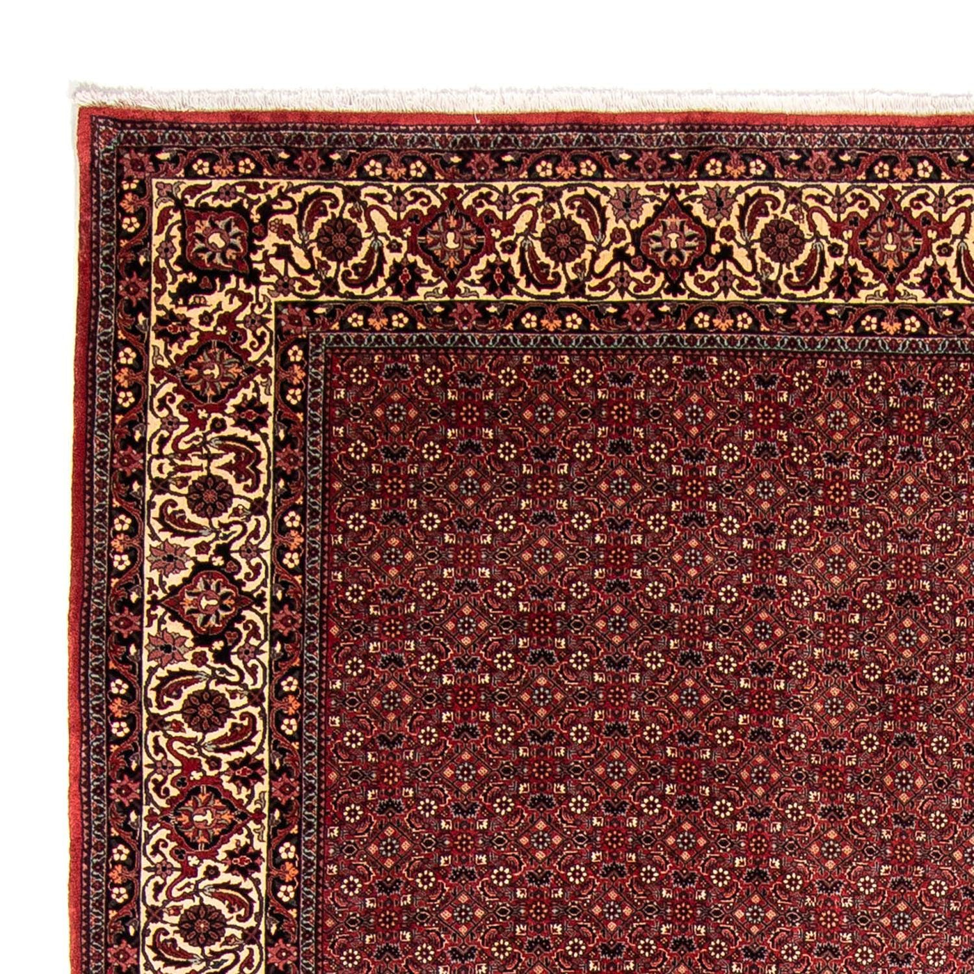 Bidjar Mattan 338x258cm - Persisk matta
