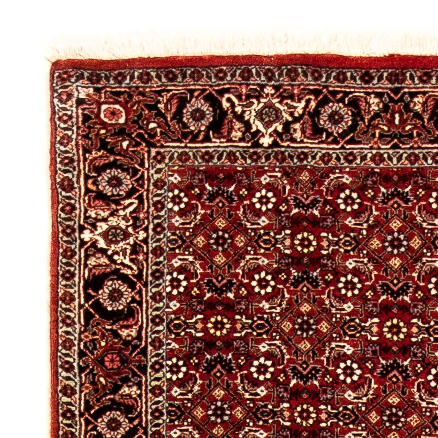 Bidjar Mattan 298x80cm - Persisk matta
