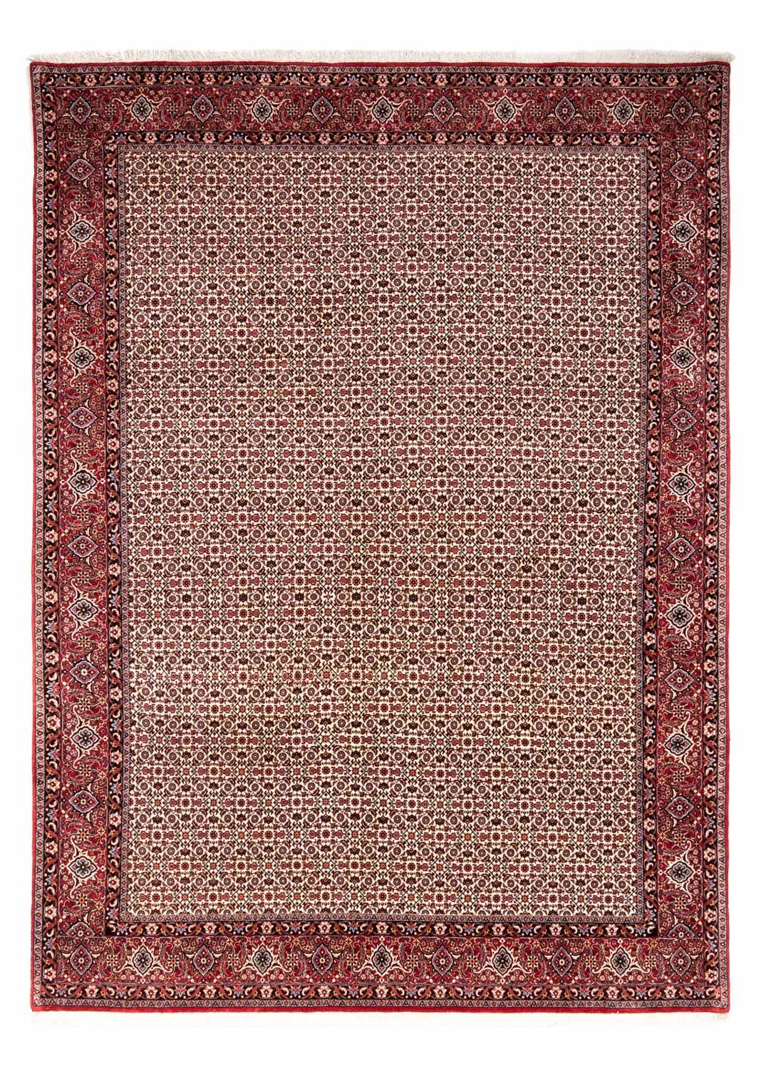 Persisk matta - Bijar - Royal - 343 x 253 cm - beige