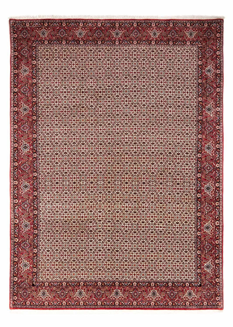 Persisk matta - Bijar - Royal - 343 x 253 cm - beige