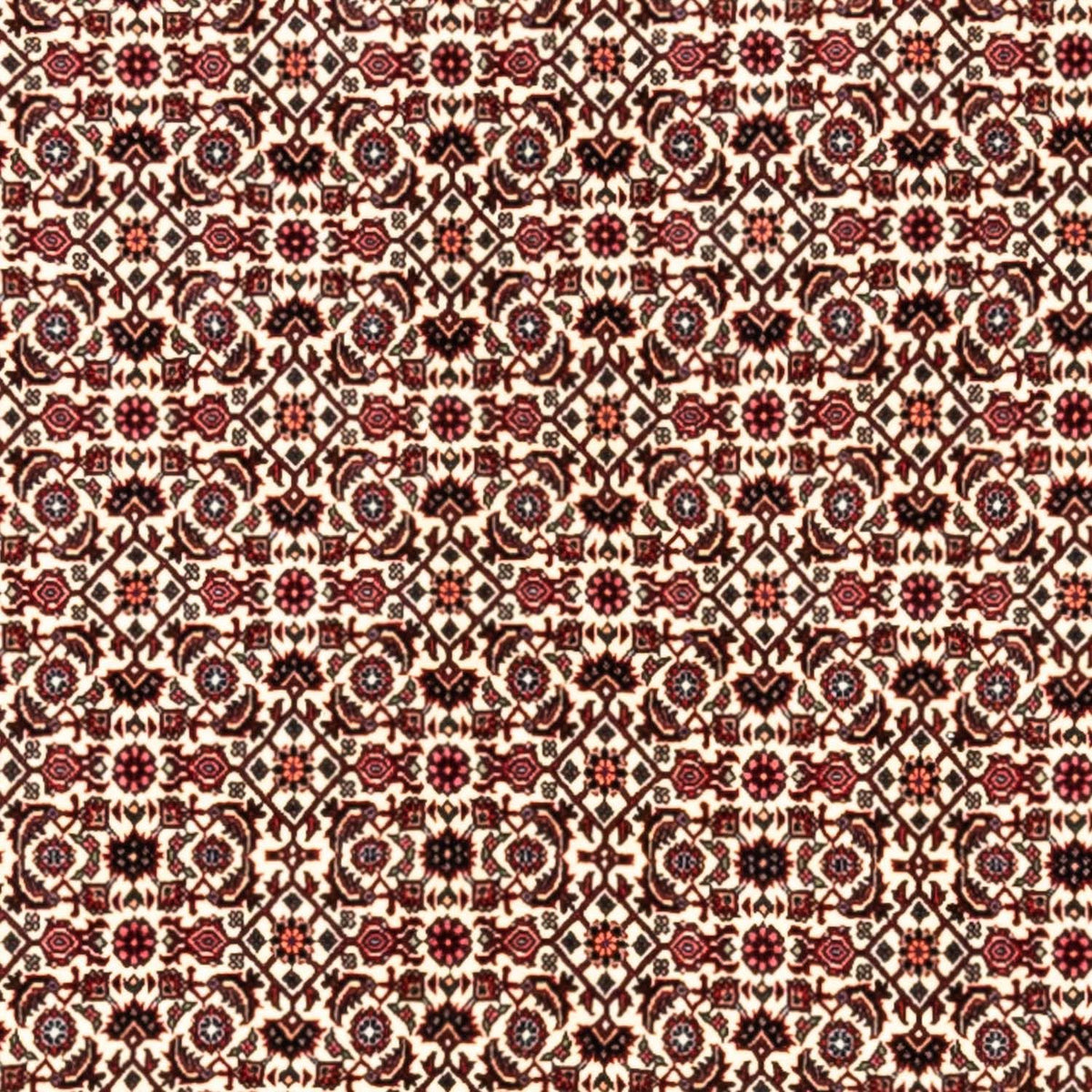 Persisk matta - Bijar - Royal - 343 x 253 cm - beige