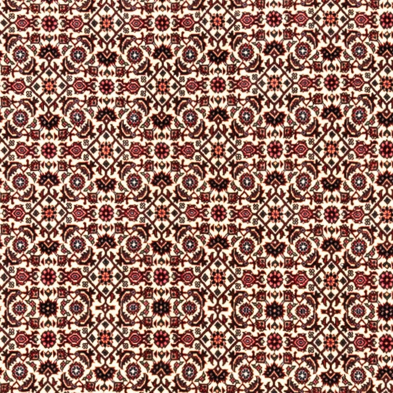 Persisk matta - Bijar - Royal - 343 x 253 cm - beige