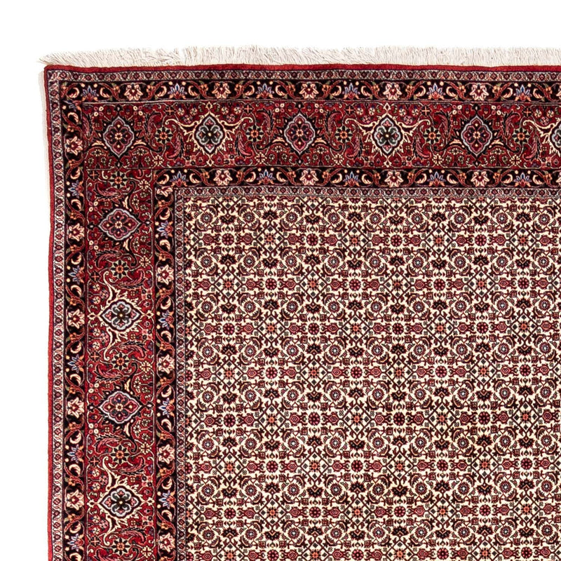 Persisk matta - Bijar - Royal - 343 x 253 cm - beige