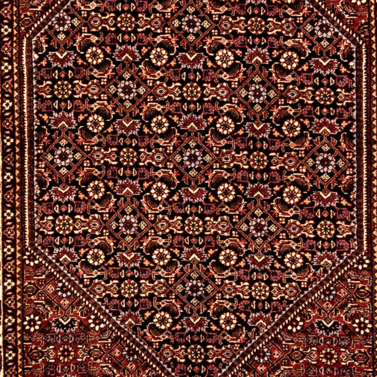 Runner Persisk matta - Bijar - 303 x 84 cm - flerfärgad