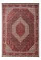Bidjar - Takab Mattan 250x353cm - Persisk matta