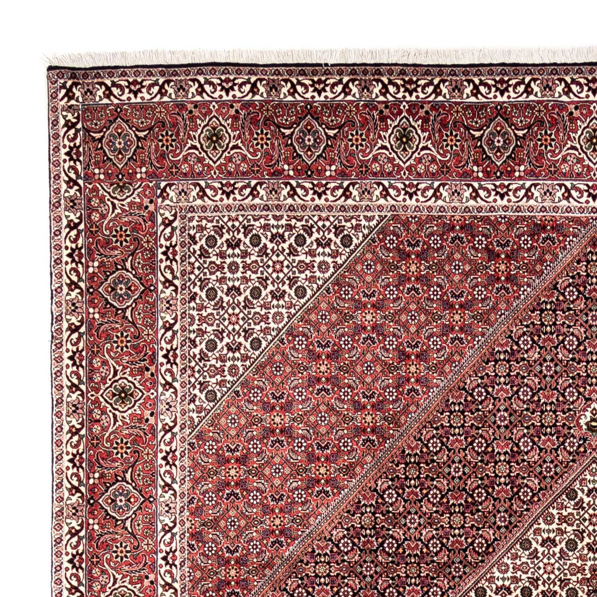 Bidjar - Takab Mattan 250x353cm - Persisk matta