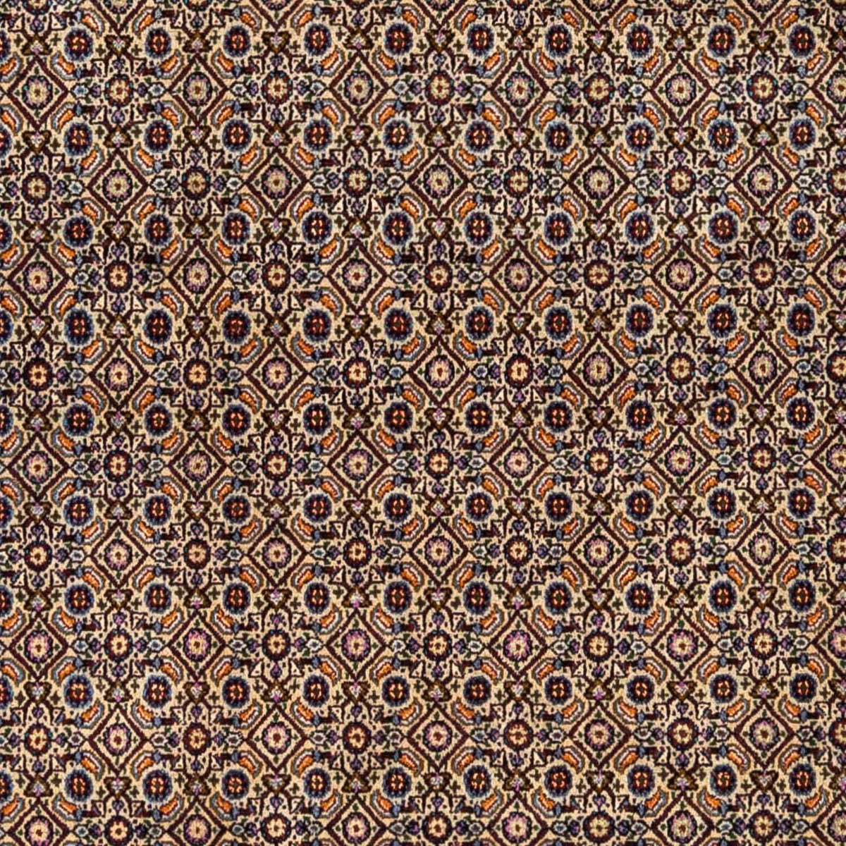 Persisk matta - Classic - 295 x 243 cm - ljusbrun