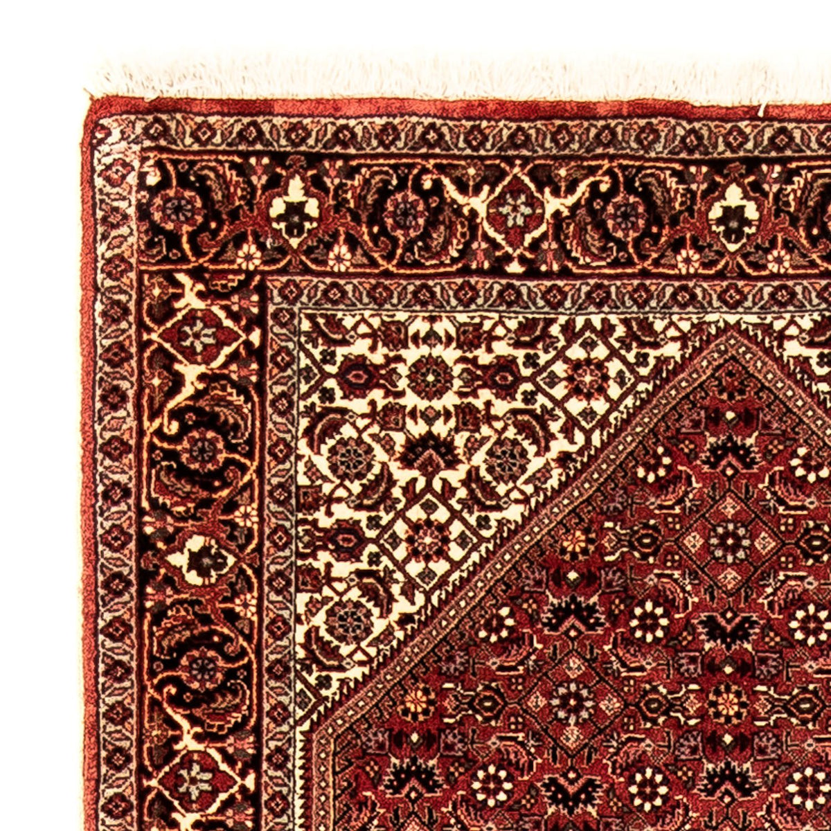 Runner Persisk matta - Bijar - 281 x 80 cm - flerfärgad