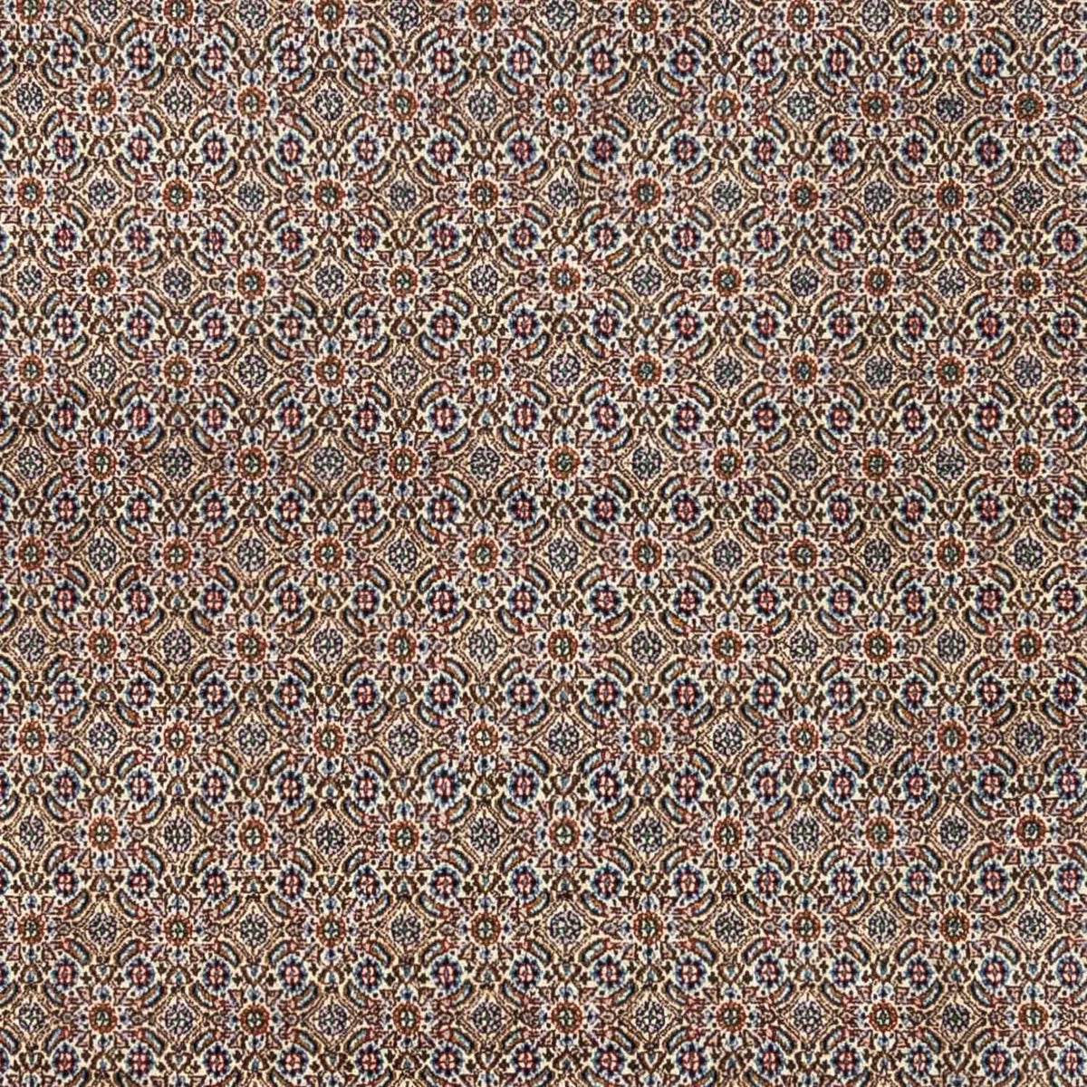 Persisk matta - Classic - 334 x 248 cm - beige