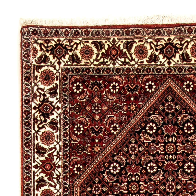 Runner Persisk matta - Bijar - 313 x 81 cm - flerfärgad