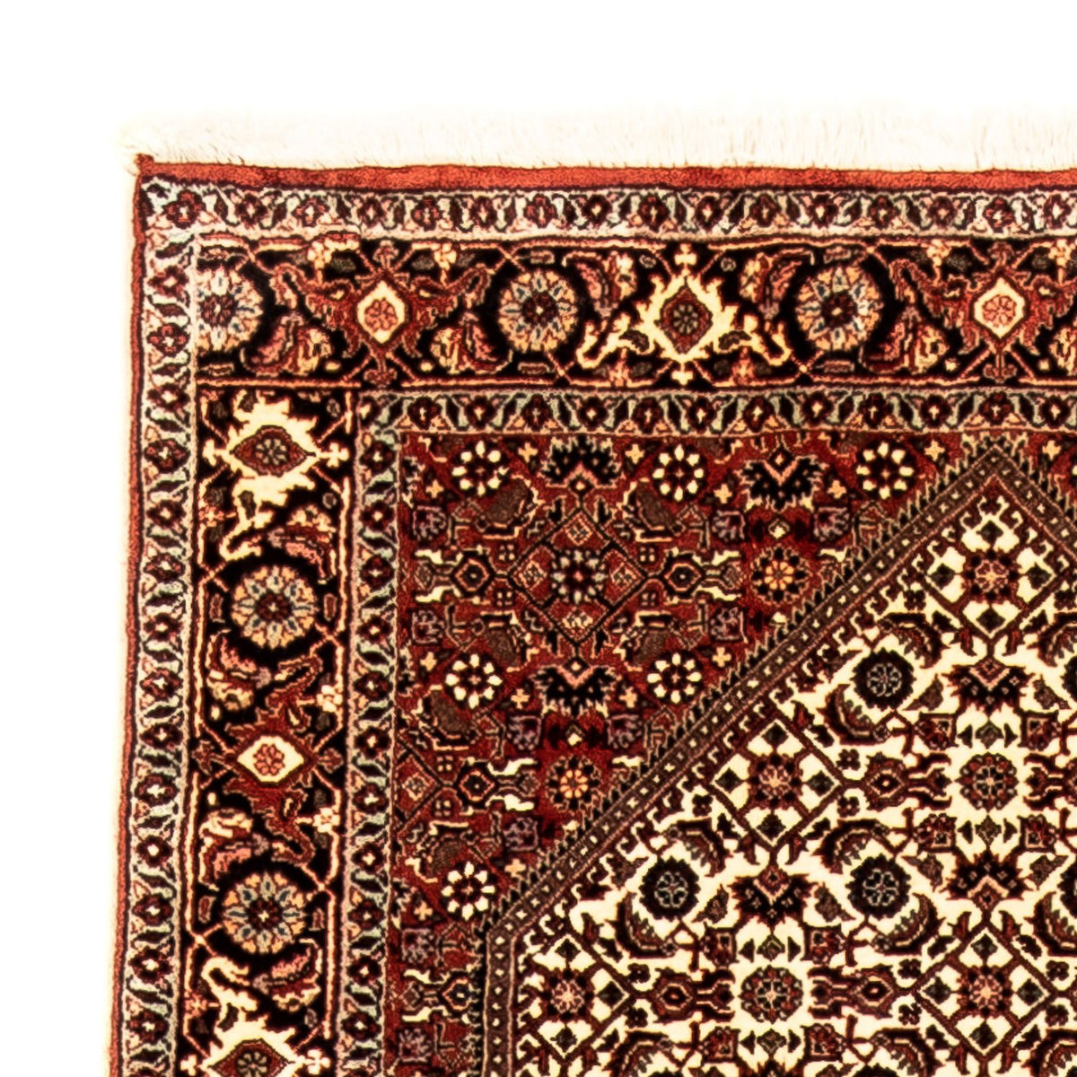 Runner Persisk matta - Bijar - 289 x 86 cm - flerfärgad