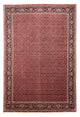 Bidjar Mattan 245x350cm - Persisk matta