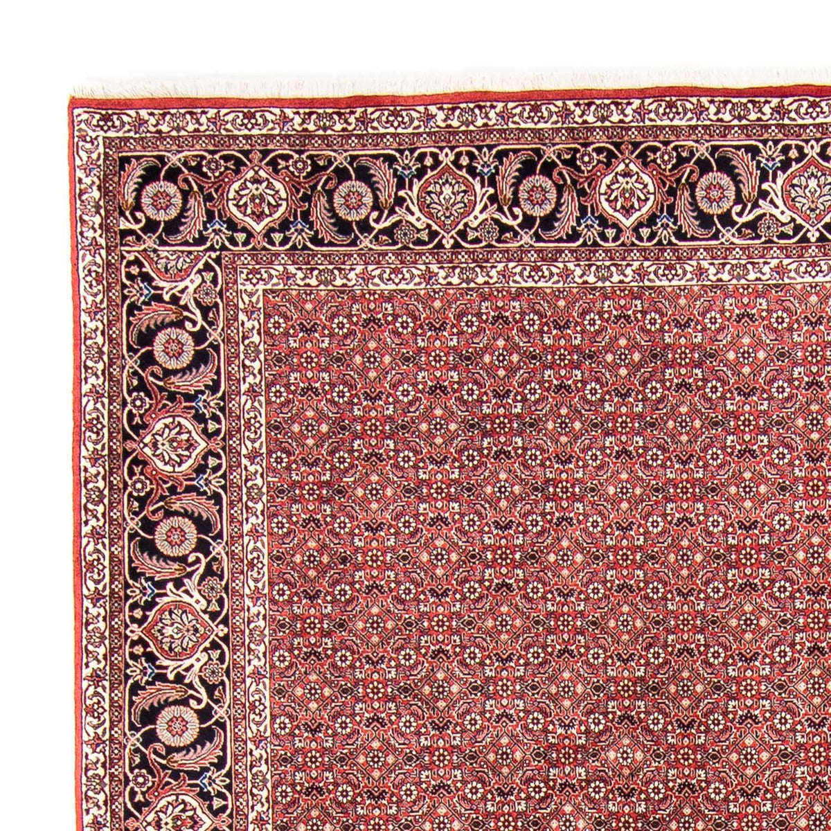 Bidjar Mattan 245x350cm - Persisk matta