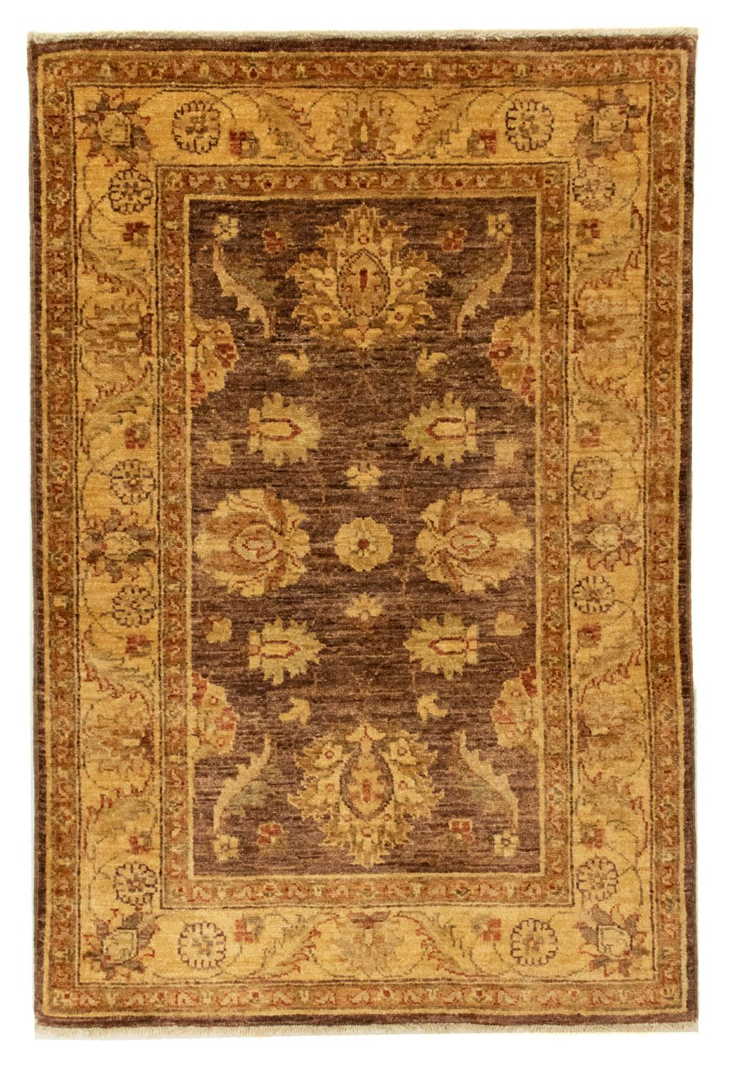 Ziegler Carpet - 116 x 76 cm - brun