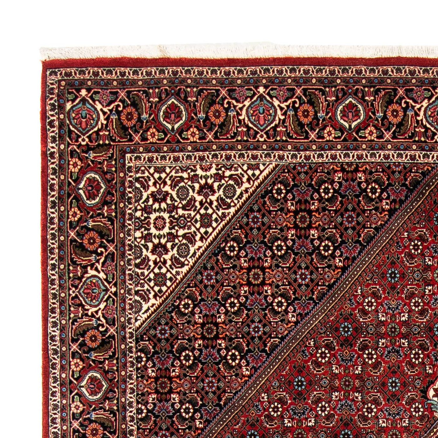 Bidjar Mattan 258x169cm - Persisk matta