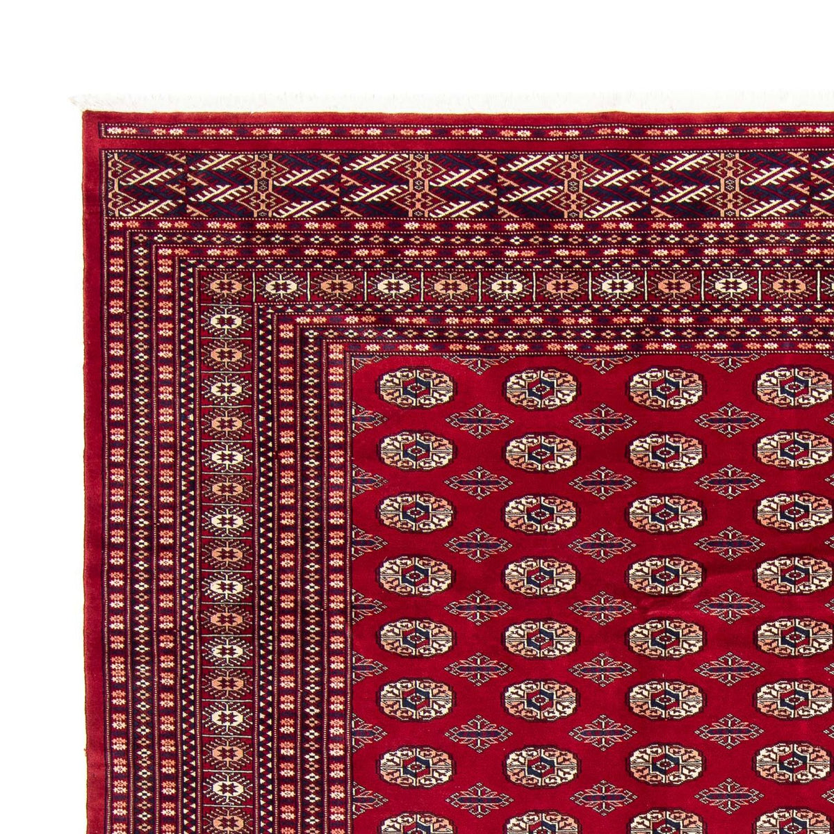 Bukhara Mattan 253x303cm - Oriental Carpet