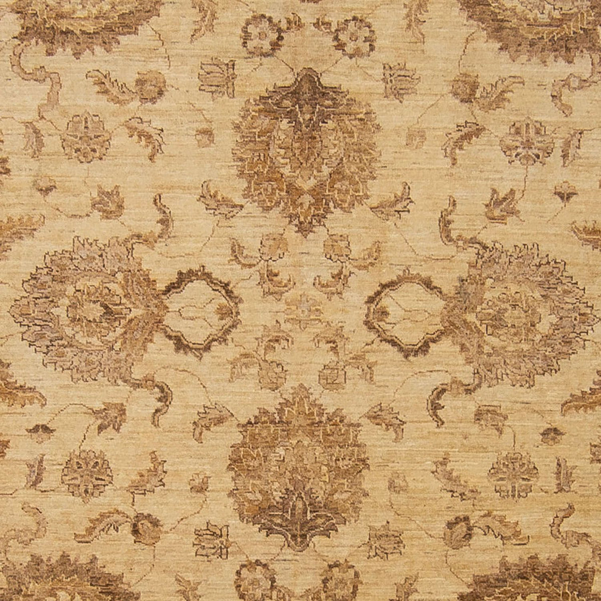 Ziegler Carpet - 296 x 238 cm - ljusbrun