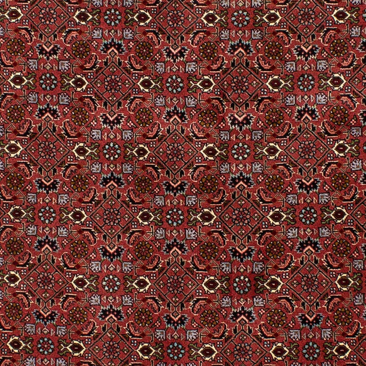 Persisk matta - Bijar - 205 x 136 cm - mörkröd