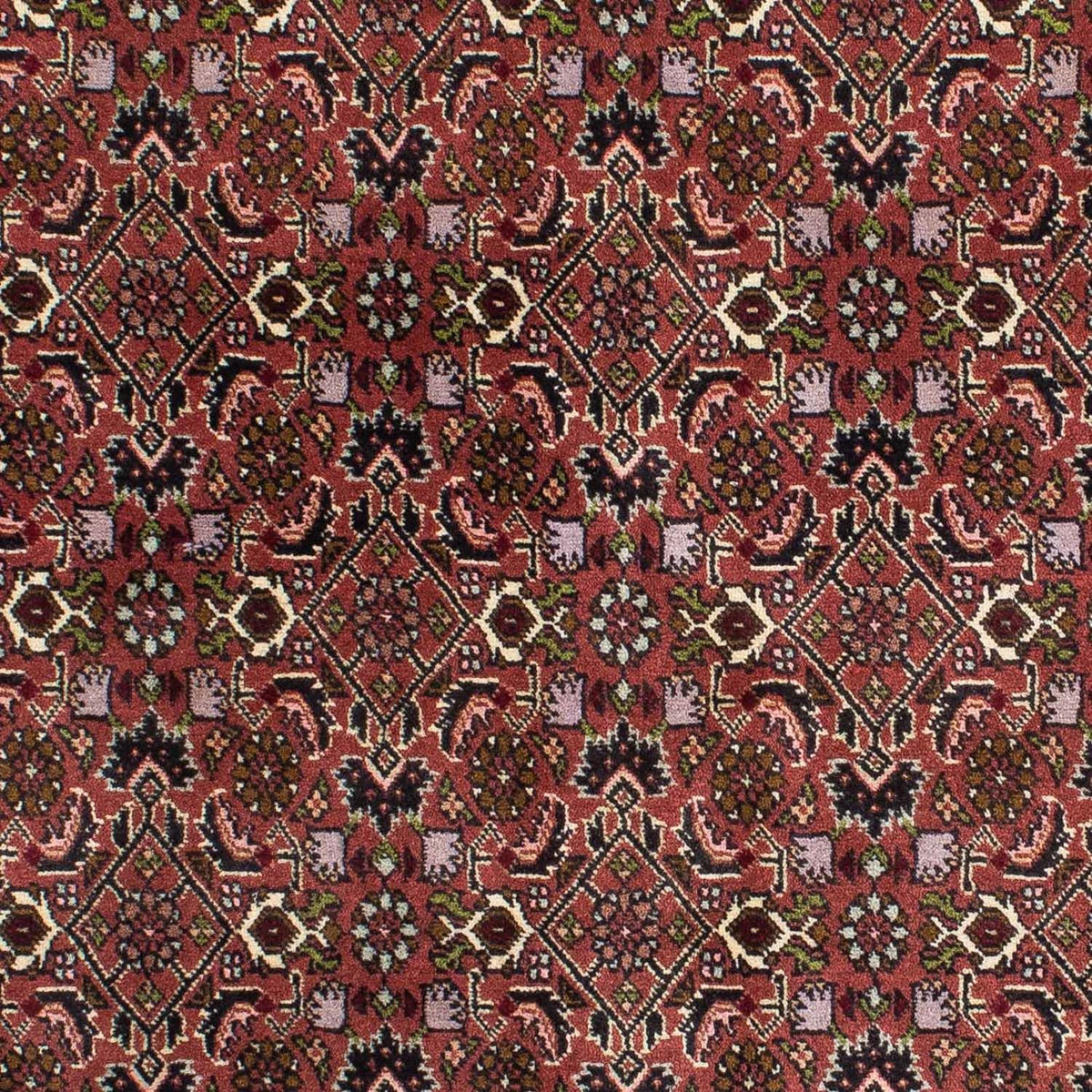 Persisk matta - Bijar - 208 x 139 cm - röd