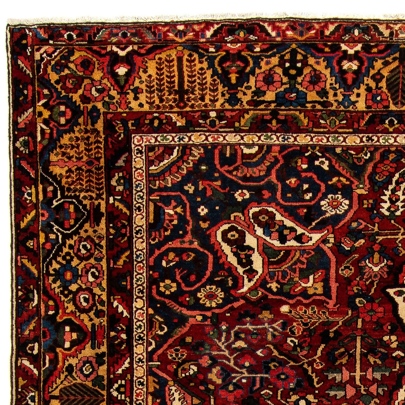 Bakhtiari Mattan 408x333cm - Persisk matta