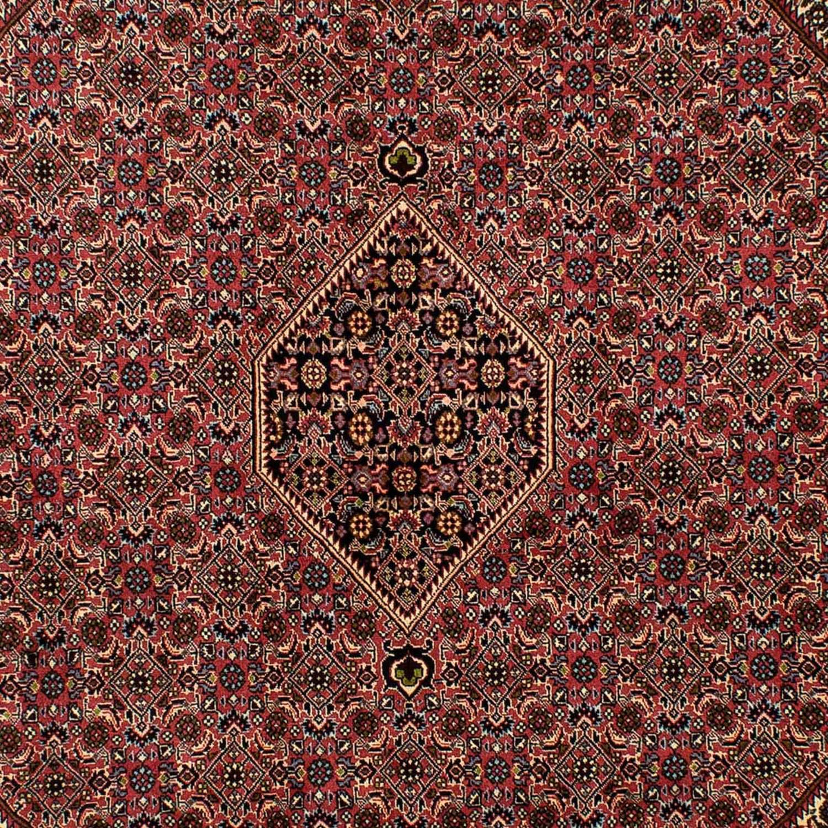 Persisk matta - Bijar - 291 x 201 cm - ljusröd