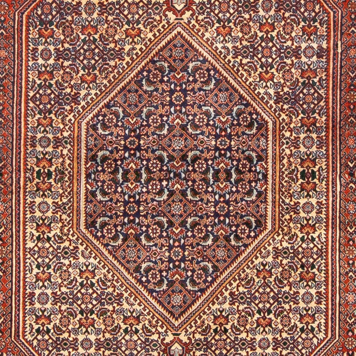 Persisk matta - Bijar - 240 x 138 cm - brun