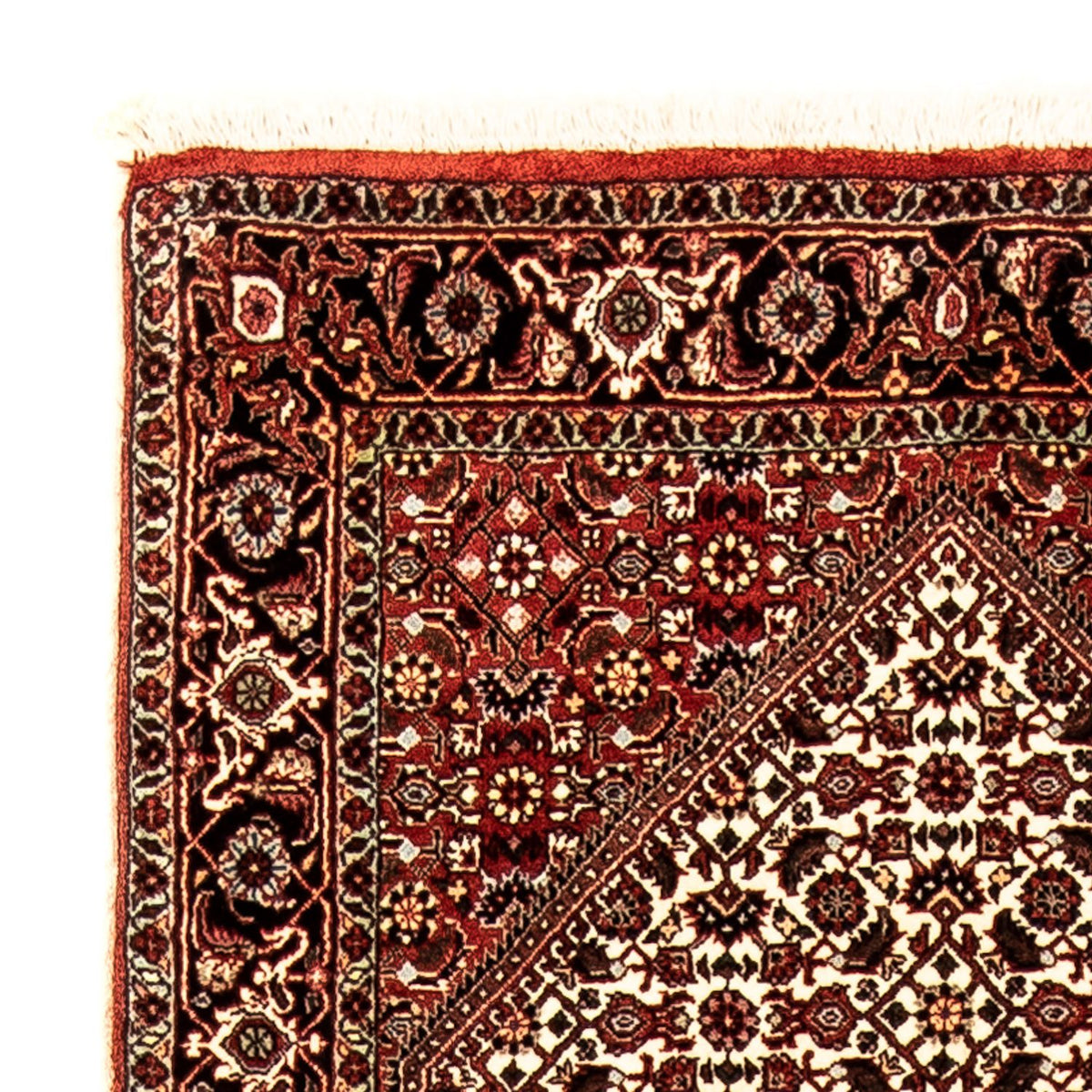 Runner Persisk matta - Bijar - 280 x 83 cm - flerfärgad