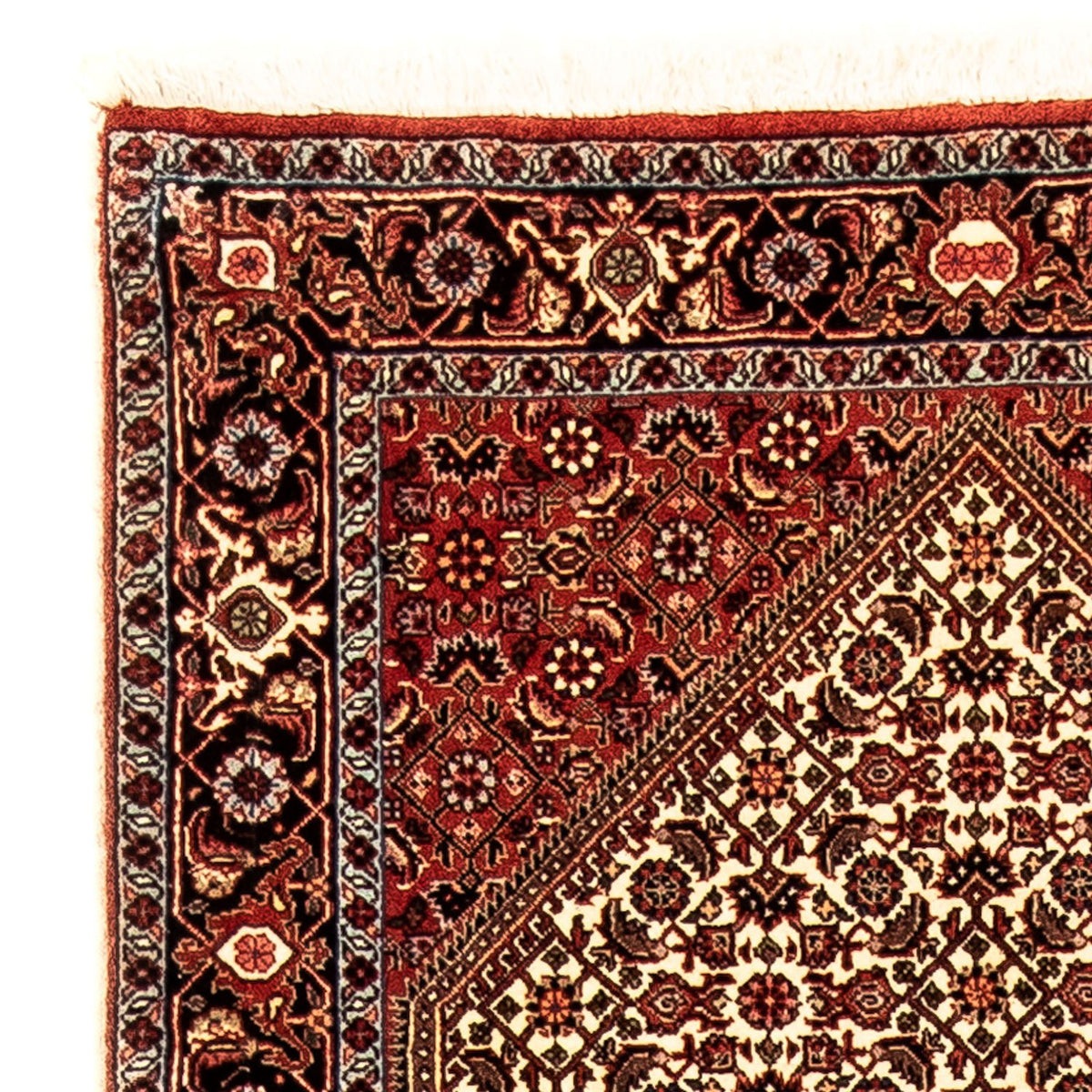 Runner Persisk matta - Bijar - 297 x 84 cm - flerfärgad