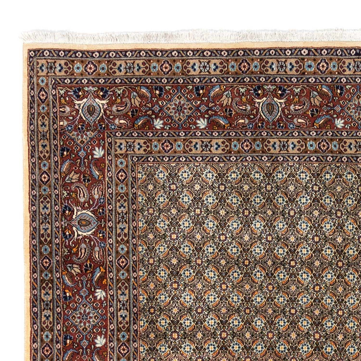 Persisk matta - Classic - 288 x 243 cm - beige