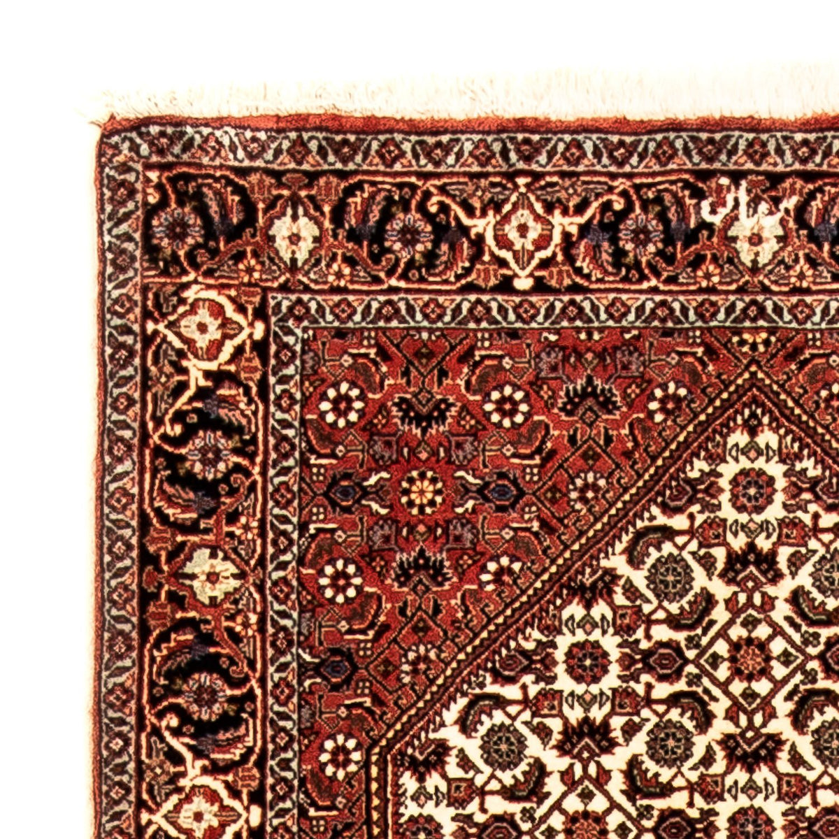 Runner Persisk matta - Bijar - 291 x 85 cm - flerfärgad