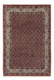 Moud Mattan 288x200cm - Persisk matta