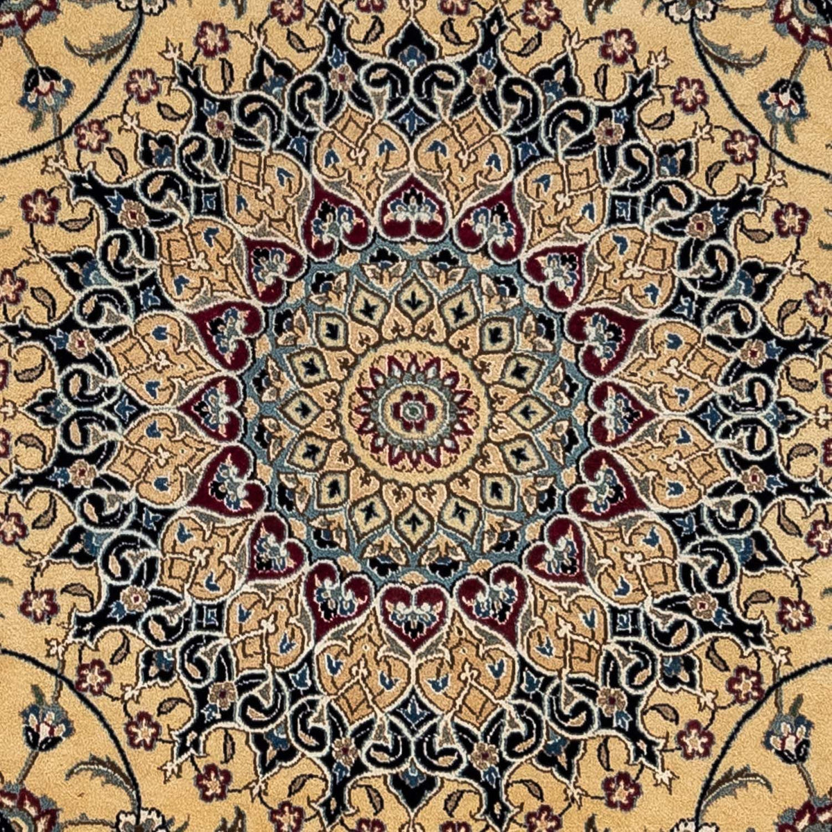 Persisk matta - Nain - Royal - 353 x 255 cm - mörk beige