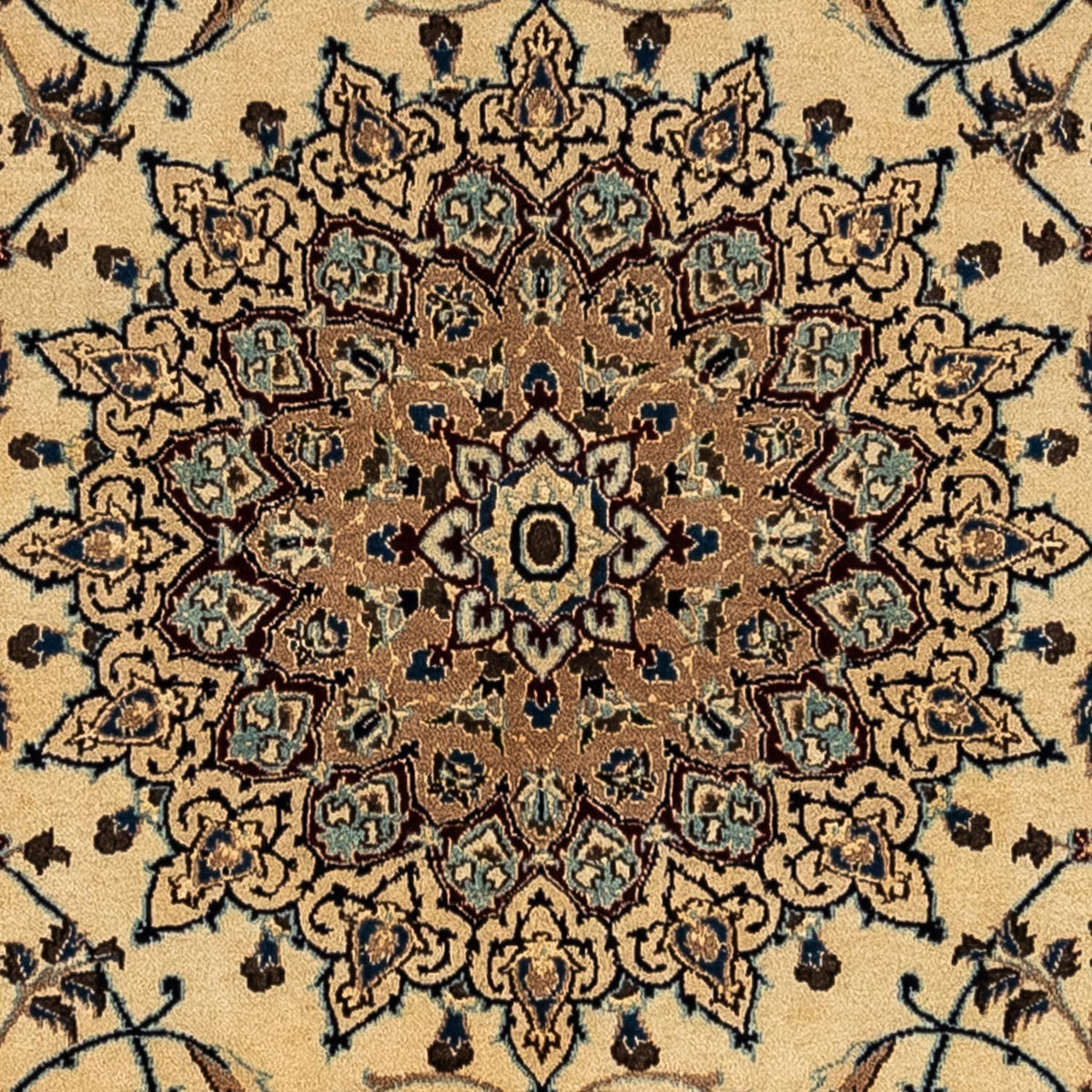 Persisk matta - Nain - Royal - 350 x 246 cm - mörk beige