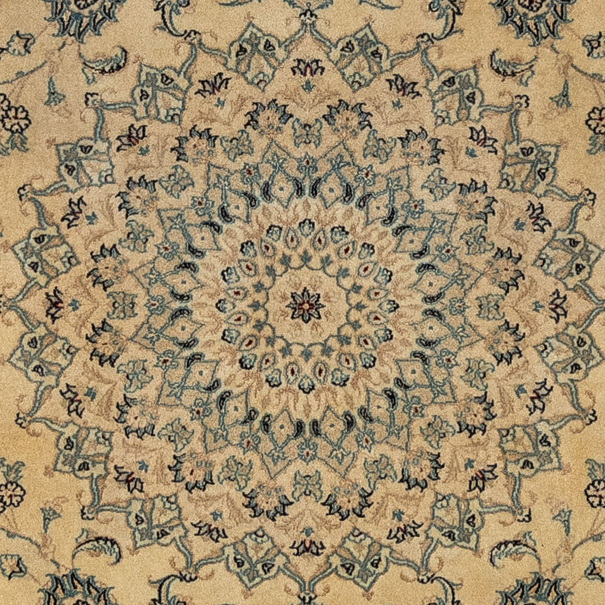 Persisk matta - Nain - Royal - 344 x 250 cm - ljusbrun