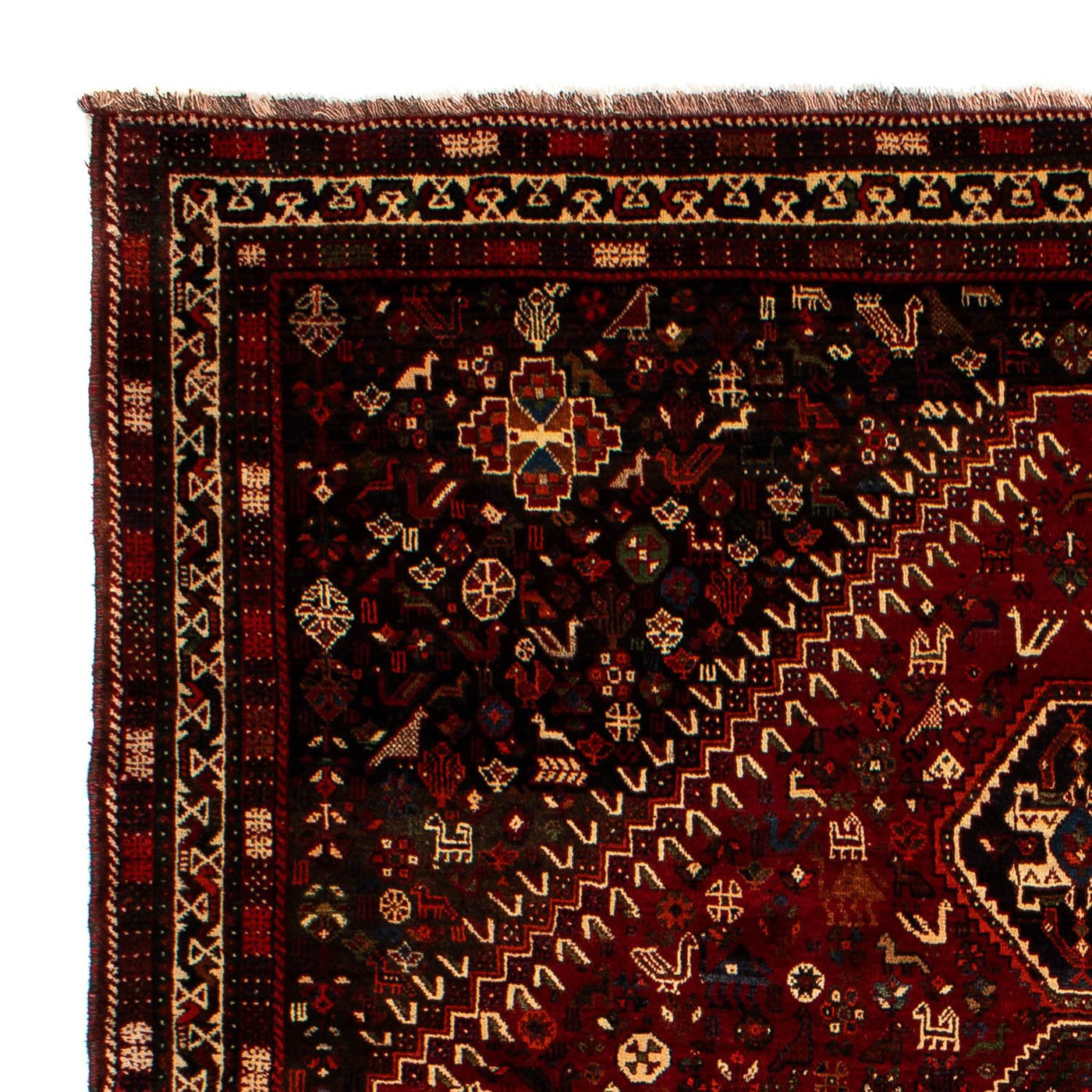 Shiraz Mattan 310x228cm - Persisk matta