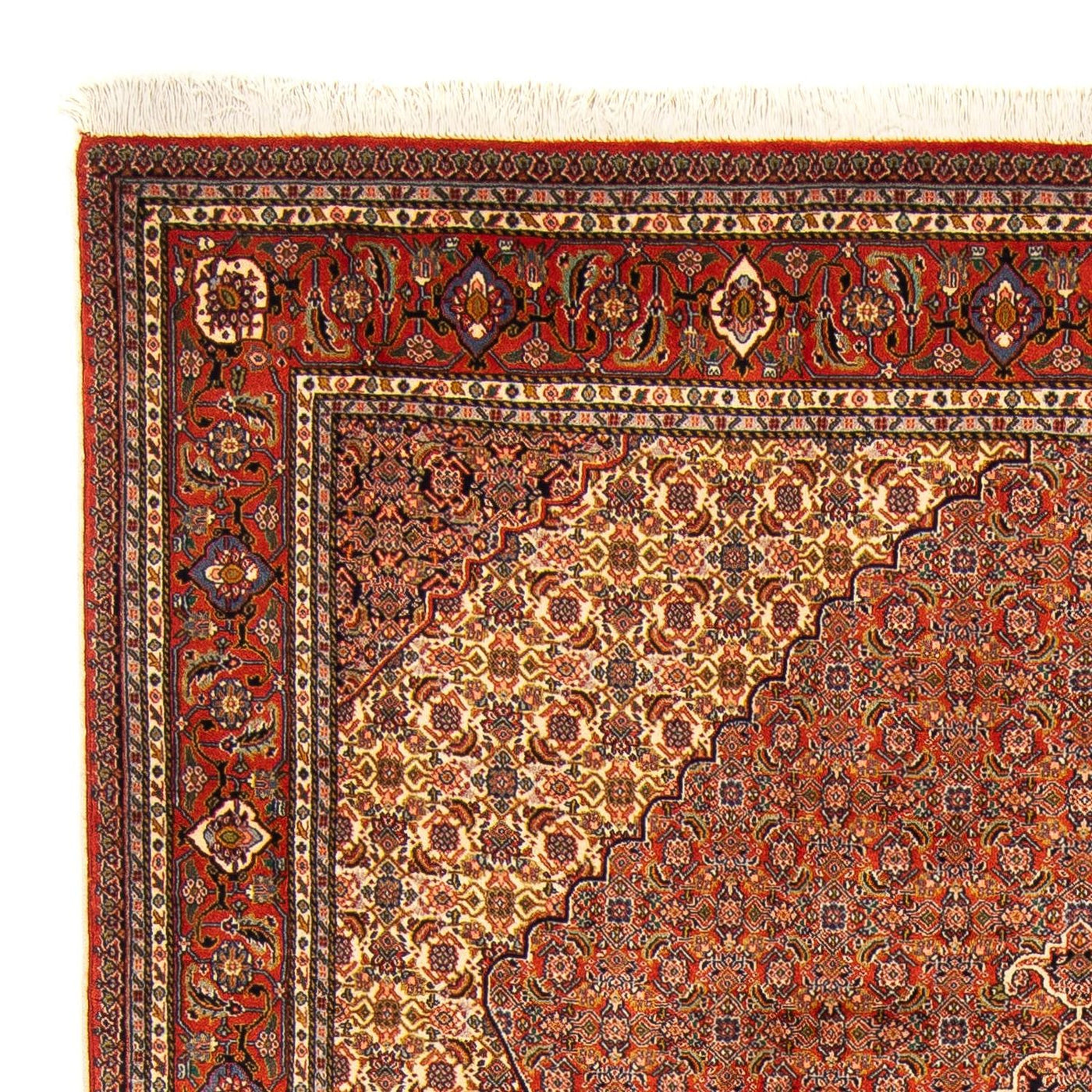 Sarab Mattan 262x182cm - Persisk matta