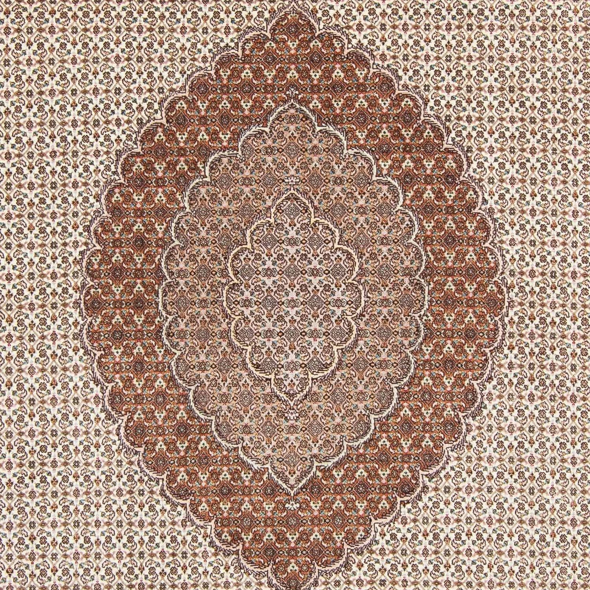 Persisk matta - Tabriz - Royal - 316 x 198 cm - beige