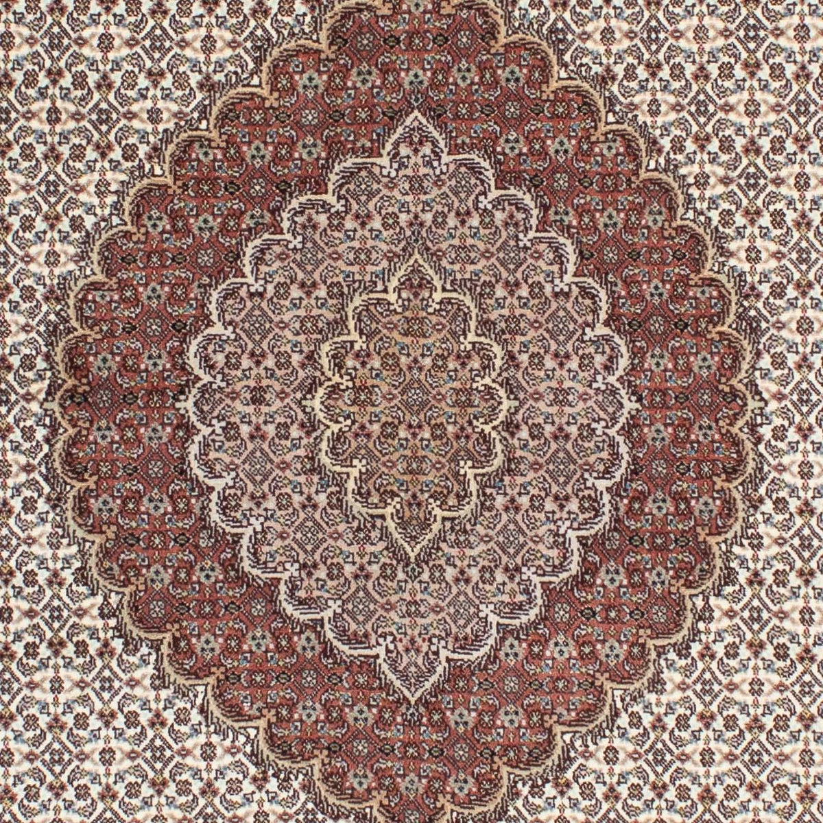Persisk matta - Tabriz - Royal - 205 x 153 cm - ljusbrun