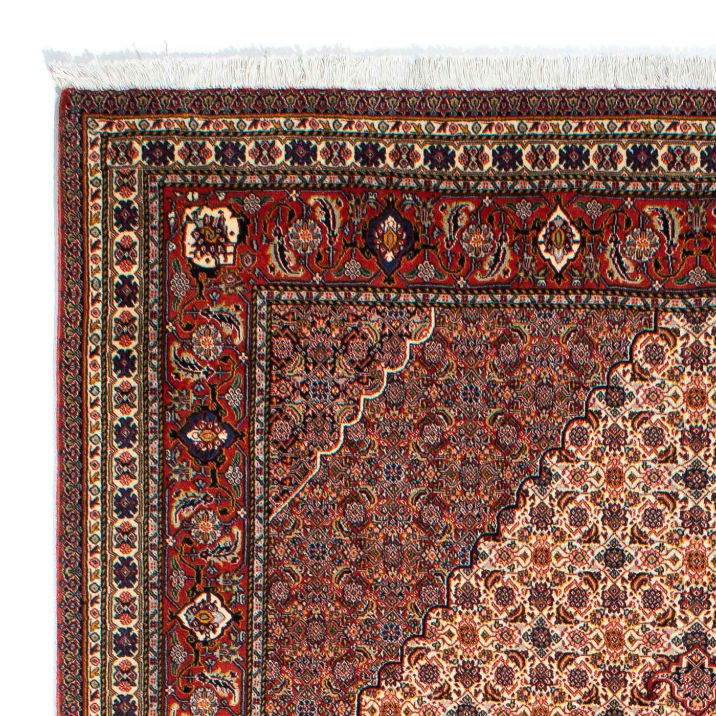Sarab Mattan 262x167cm - Persisk matta
