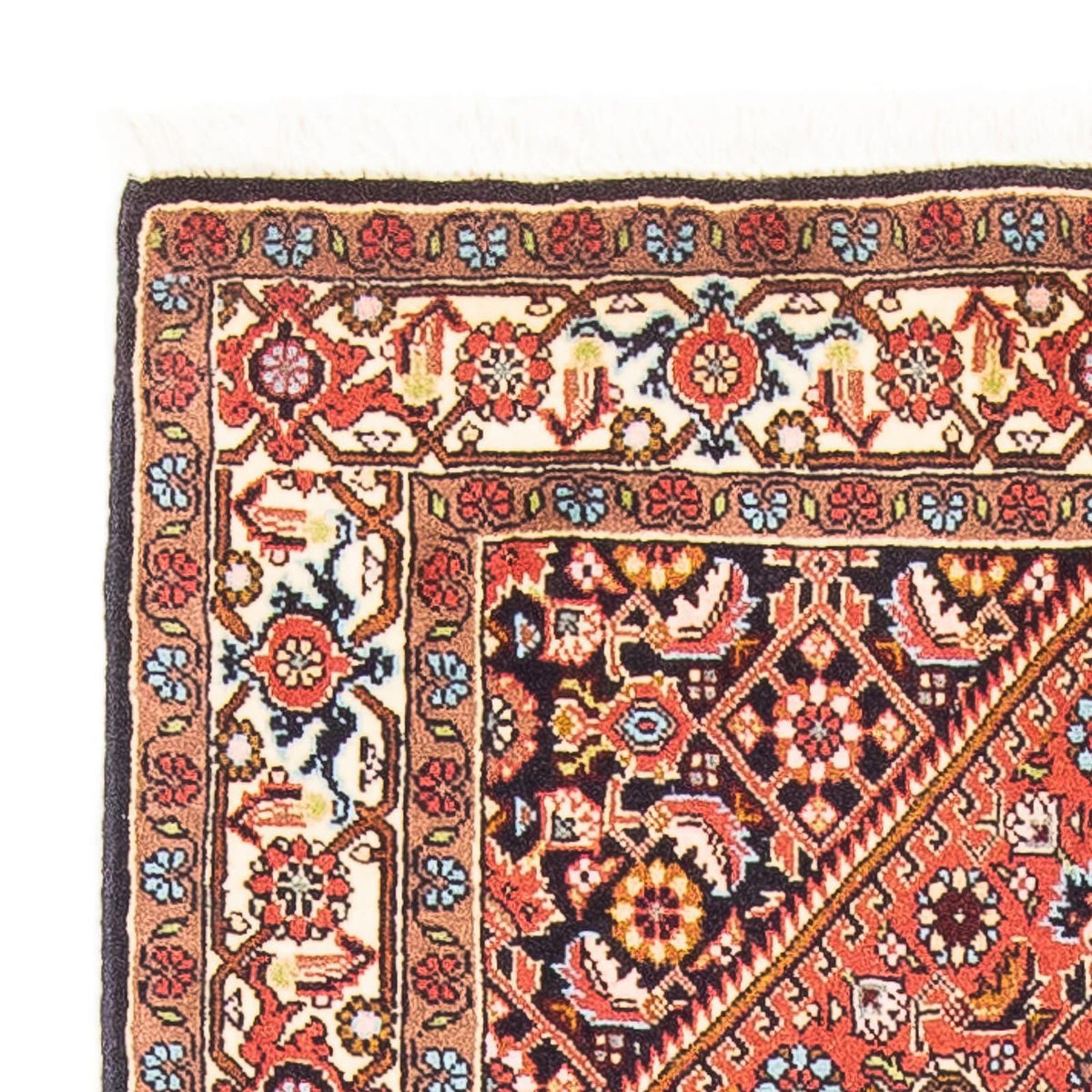 Bidjar - Zanjan Mattan 81x150cm - Persisk matta