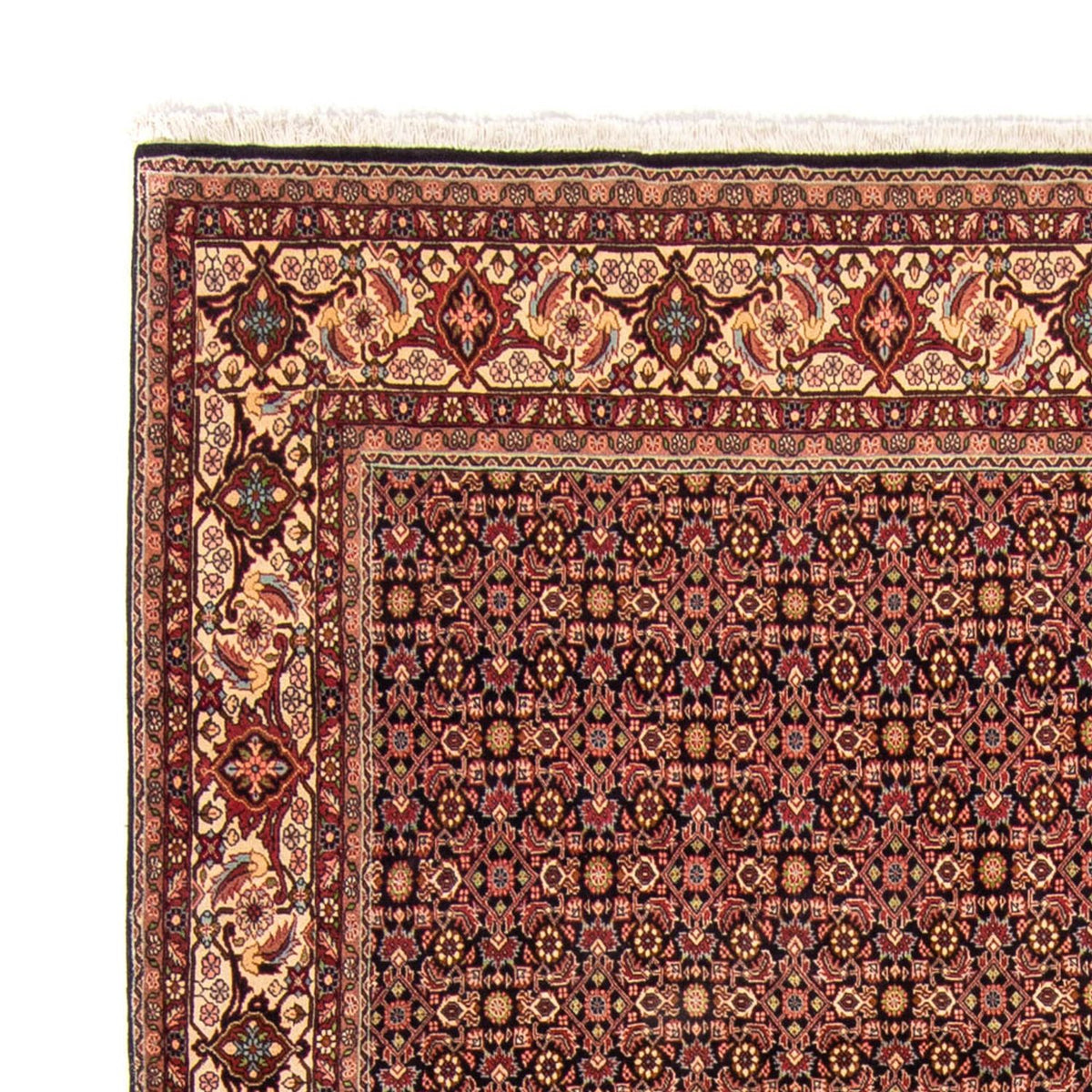 Bidjar Mattan 254x343cm - Persisk matta